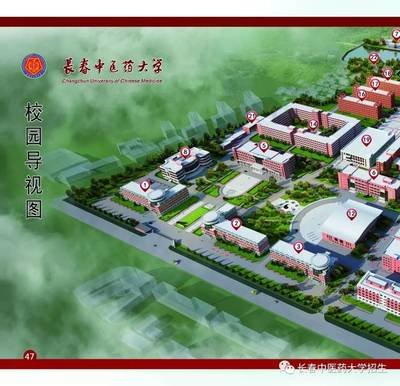 长春大学平面设计专业