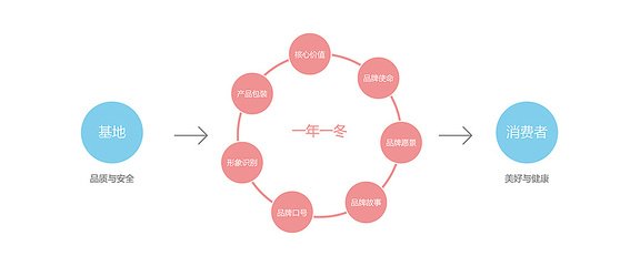 平面设计核心问题包括