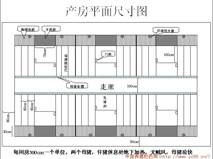 楼房养猪场平面设计图