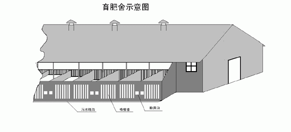 楼房养猪场平面设计图