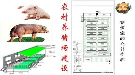 楼房养猪场平面设计图