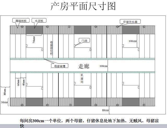 楼房养猪场平面设计图