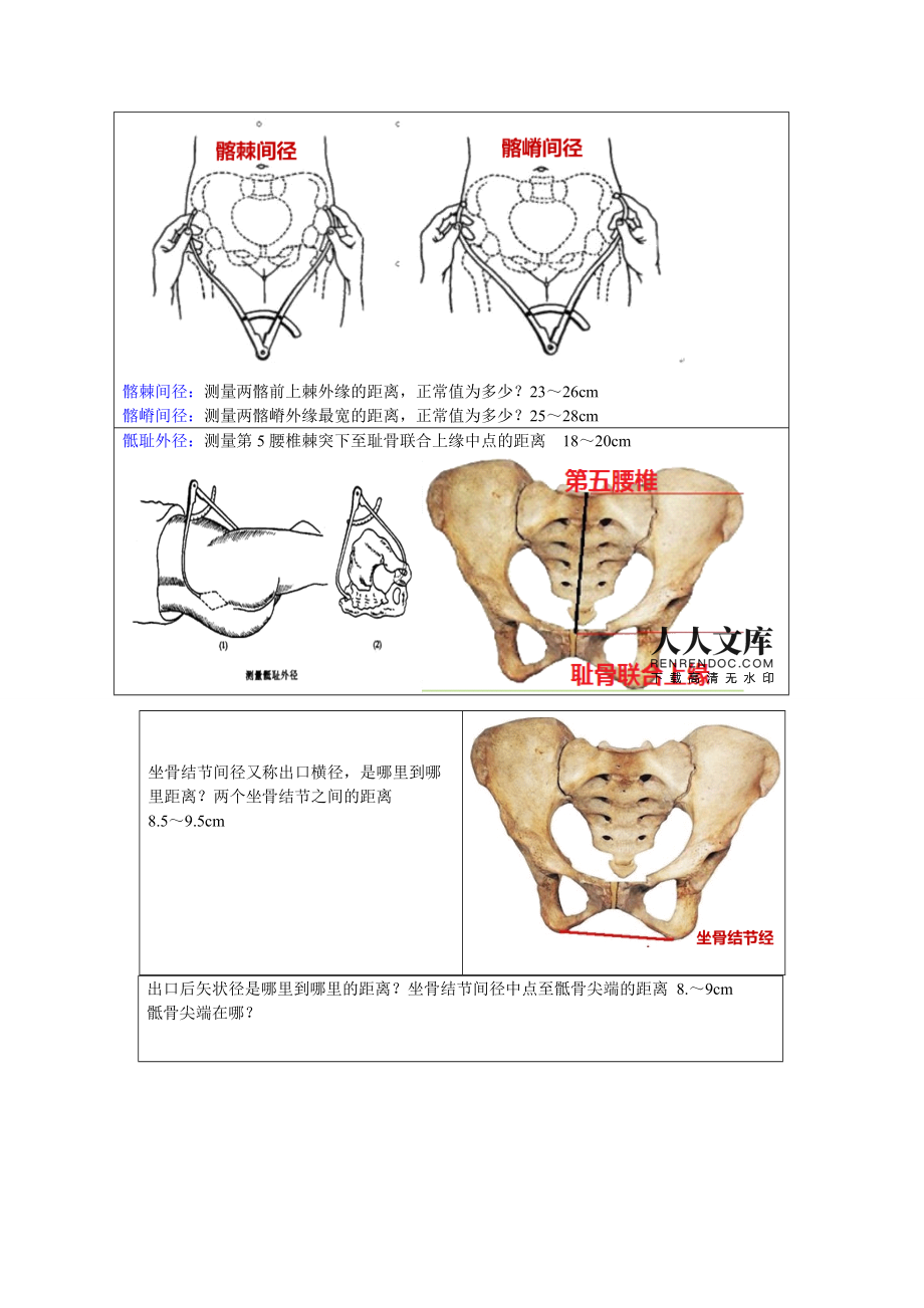 妇产骨盆平面设计方案