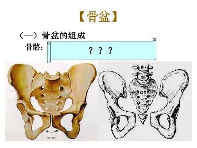 妇产骨盆平面设计方案