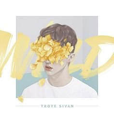 troye sivan 平面设计