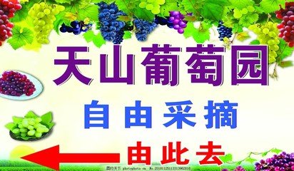 路牌平面设计图片大全高清