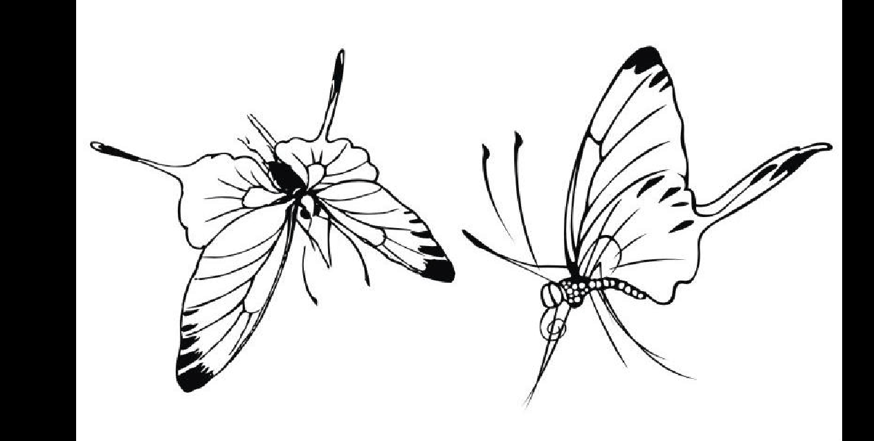 初学者蝴蝶平面设计素材