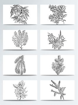 植物拓印平面设计图案大全