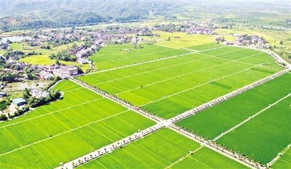 农田道路平面设计